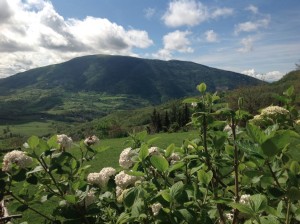 IMG_1408